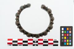 Foto von Bronzearmreif (NHMW-PRAE-025347)